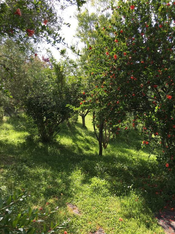 Casale Le Querce Apartment Castelnuovo Berardenga Luaran gambar